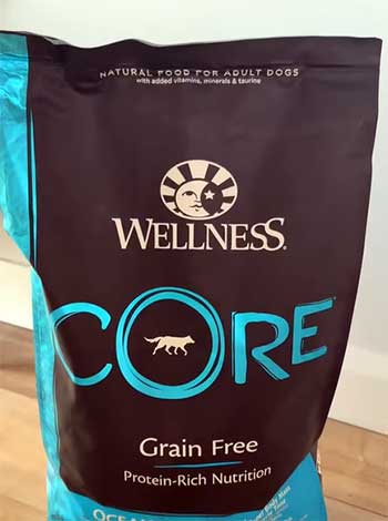 Wellness Core
