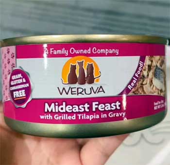 Weruva mideast feast wet cat food