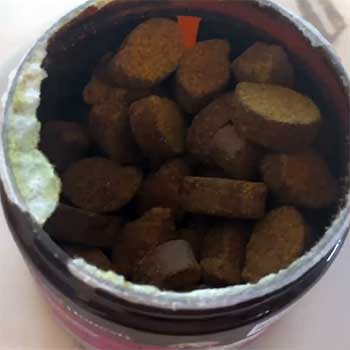 pet honesty multivitamin