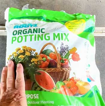 Back To The Roots Potting Mix