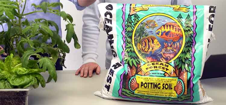 FoxFarm Ocean Forest Potting Soil