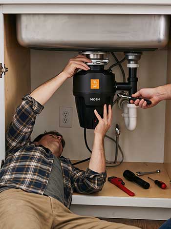 moen garbage disposal